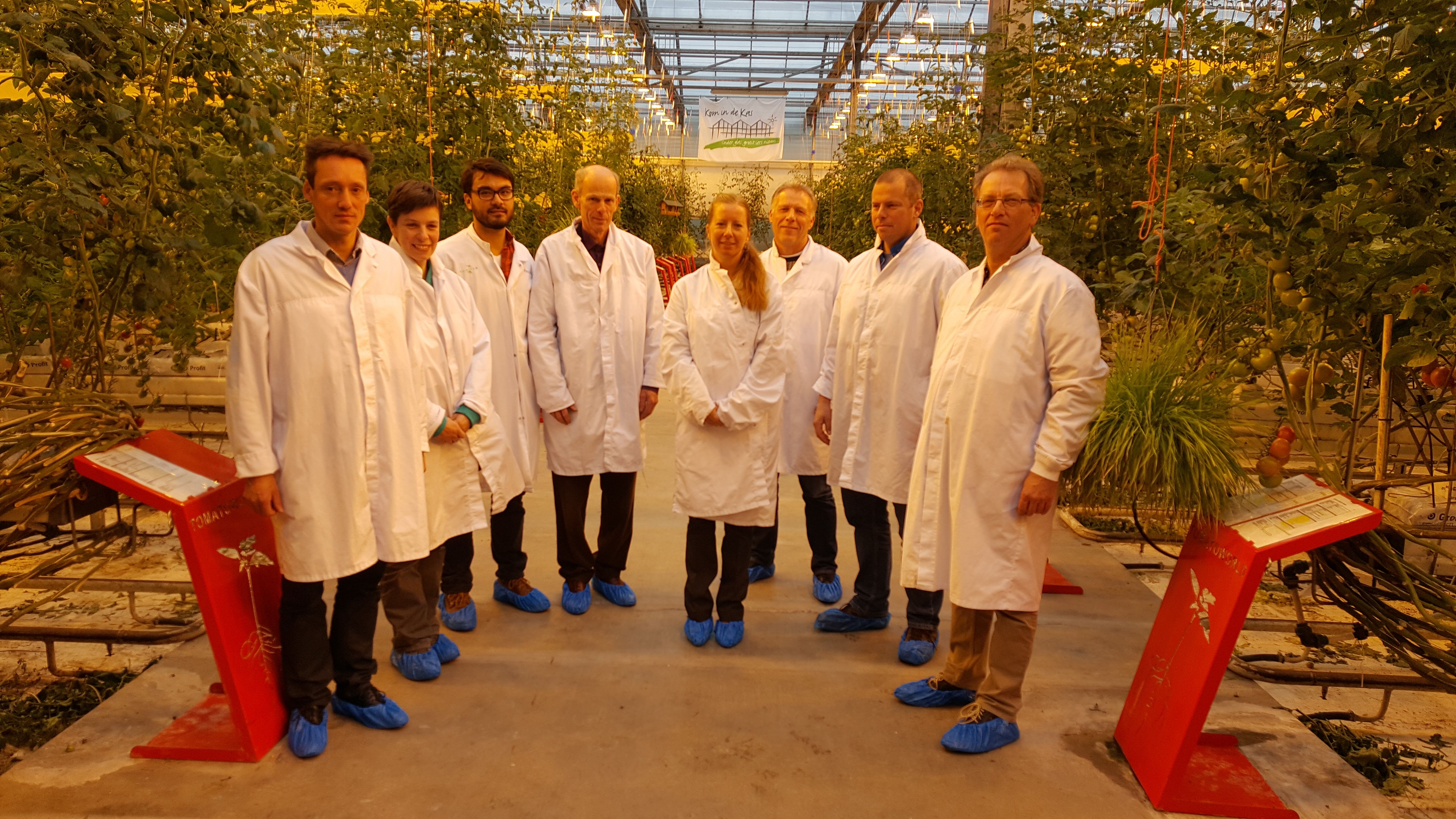 Birgit de Vos junto a un grupo de visitantes con batas blancas en un invernadero de tomates en los Países Bajos